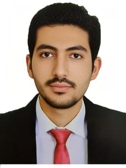 AHMED AMER ABULAMEER